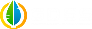 GDSS Logo White